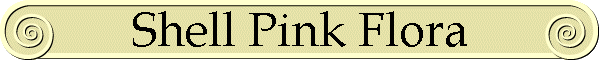 Shell Pink Flora